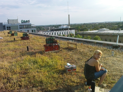 Kaufland_Magdeburg